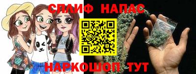 индика Будённовск