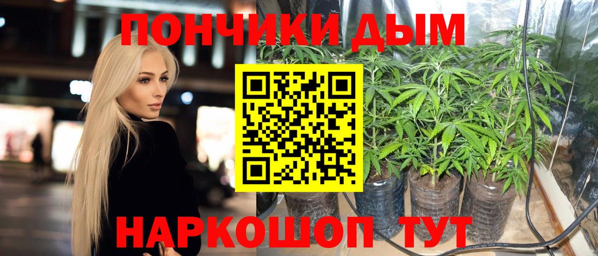 Марихуана гибрид  Канабис план  Тосно  МАРИХУАНА конопля  Вход с VPN  Канабис индика 